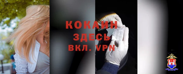 амф Верхний Тагил