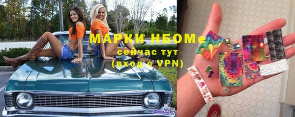 амф Верхний Тагил
