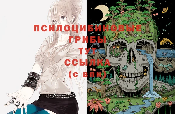 амф Верхний Тагил