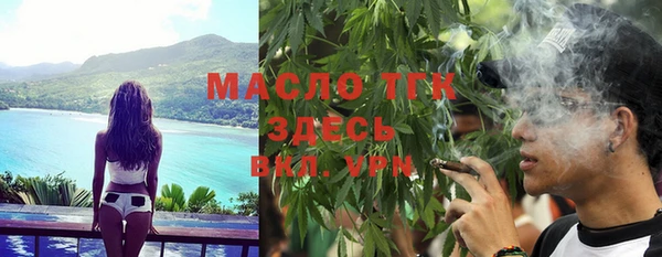 амф Верхний Тагил