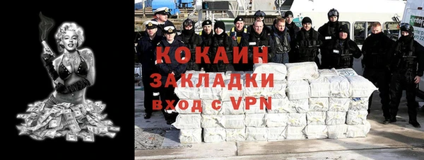 амф Верхний Тагил